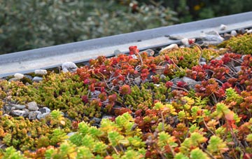 the cost of East Linton green roof installation