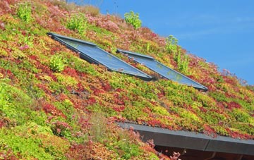 East Linton living roof systems
